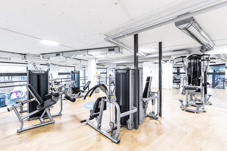 NSG Genf 4451 2 768x512